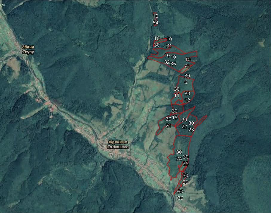 facebook.com/SavePikuy