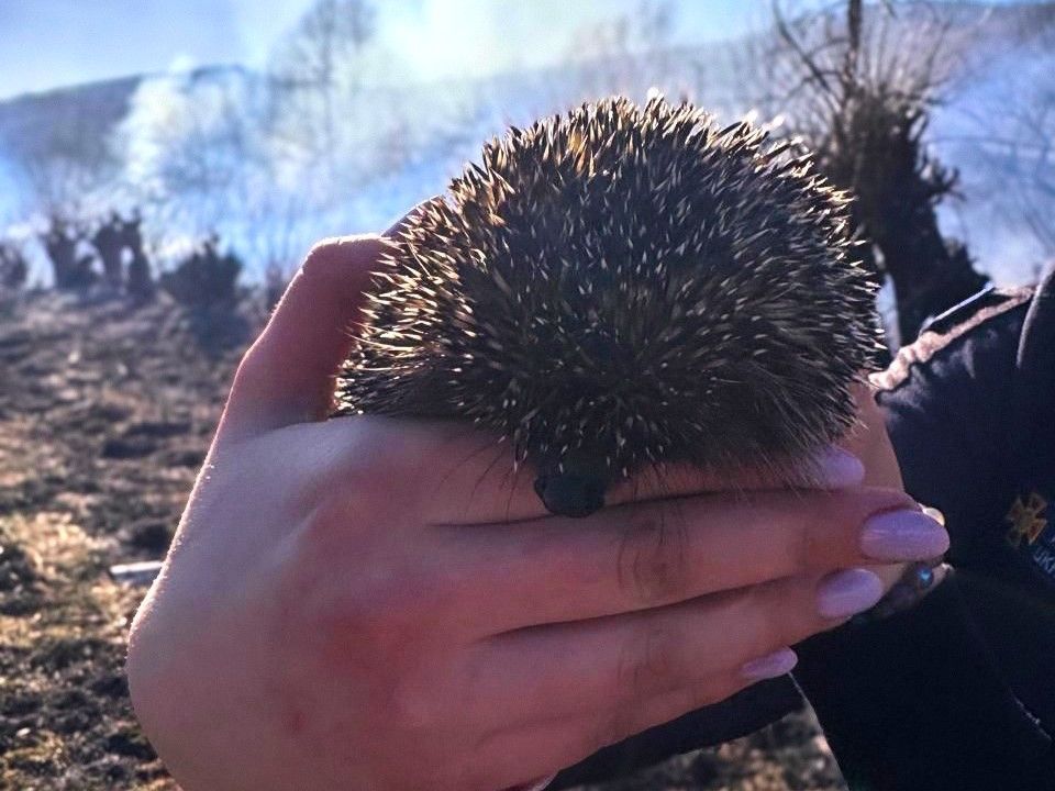 facebook.com/DSNS.GOV.UA