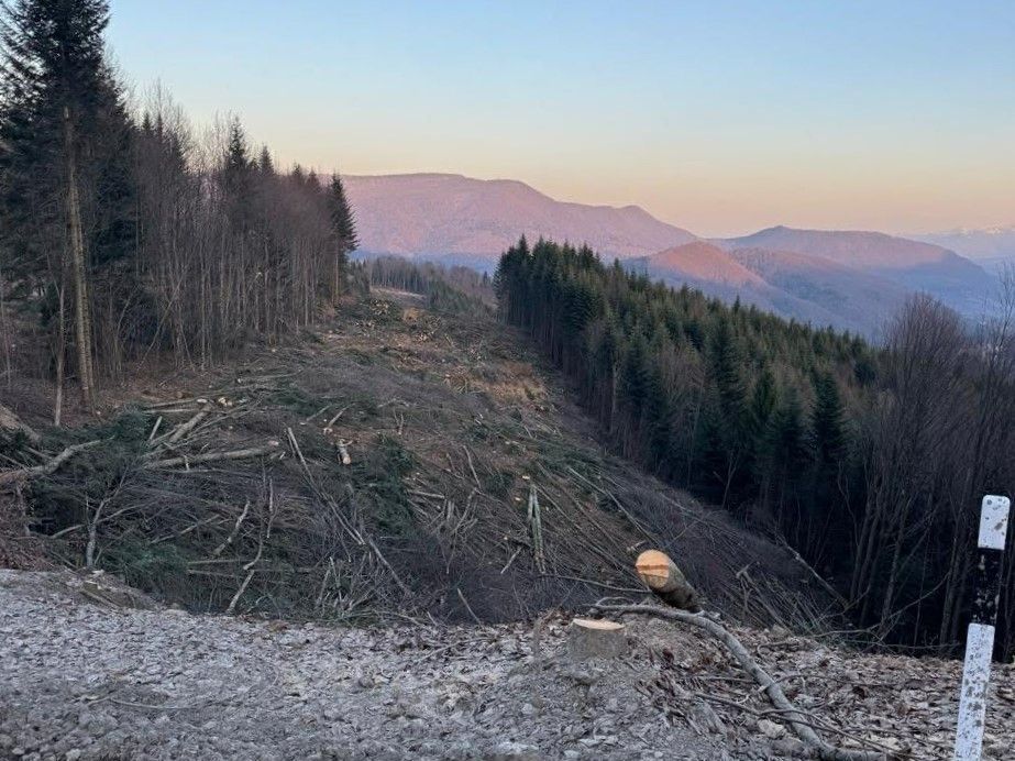 facebook.com/SavePikuy