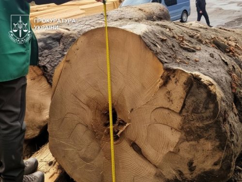 Екозлочини тижня: приватизація заповідників, захист пралісів, забруднення на мільйони