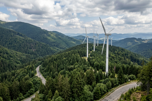 ВЕС замість заказника: рада на Закарпатті не підтримала захист високогірних Карпат