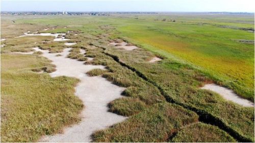 The Danube region in Odesa Oblast is at risk of desertification