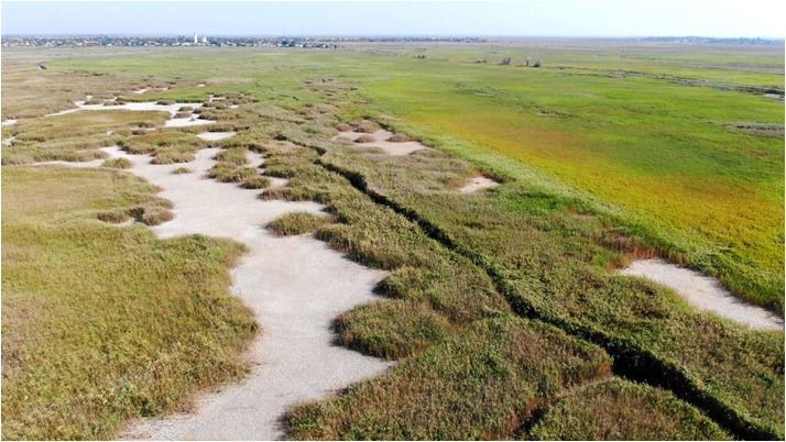 The Danube region in Odesa Oblast is at risk of desertification