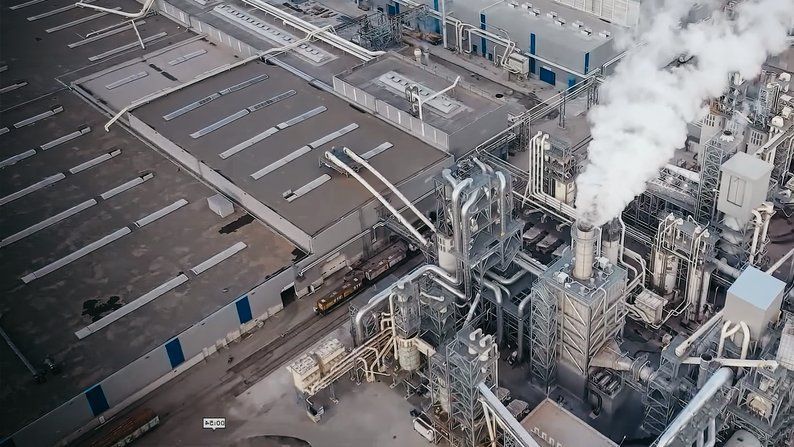 Ціна деревообробної промисловості для здоров’я та довкілля: досвід Рівненщини