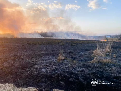 Более 2000 пожаров произошло в украинских экосистемах с начала года