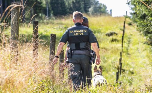 Wild nature on the border with the enemy: the EU considers forests and swamps to be a line of defense