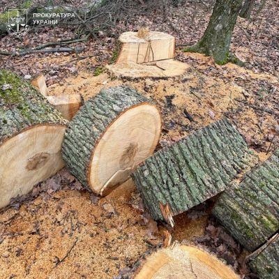 Экопреступления недели: выбросы на 70 млн грн, возмещение убытков и вырубка лесов