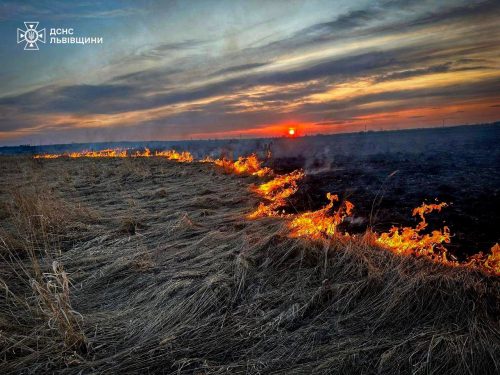 Пожежі випалили понад 92 тис. га земель з початку року – ДСНС України