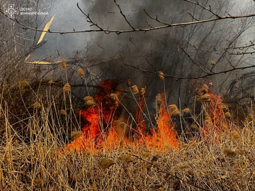 В Украине с начала года выгорело почти 94 тыс. га экосистем. Уже погибли три человека