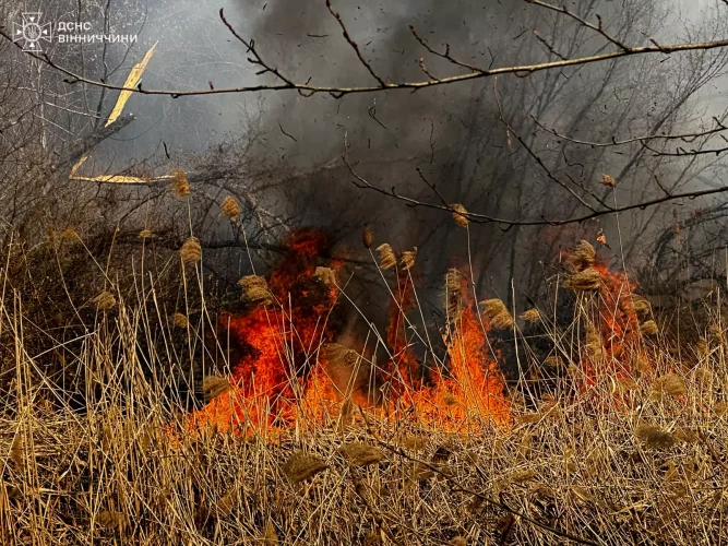 В Украине с начала года выгорело почти 94 тыс. га экосистем. Уже погибли три человека