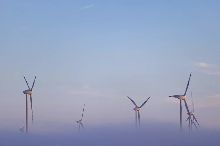 Нафтогазові компанії на 30% скоротили витрати на екопроєкти за останній рік