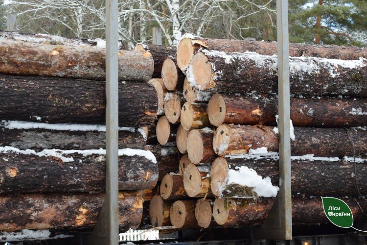 Президент анонсував кадрові зміни в "Лісах України" через критичні проблеми в галузі