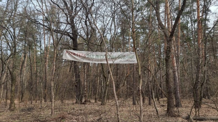 У Пущі-Водиці рекреаційний ліс можуть знищити під забудову – активісти