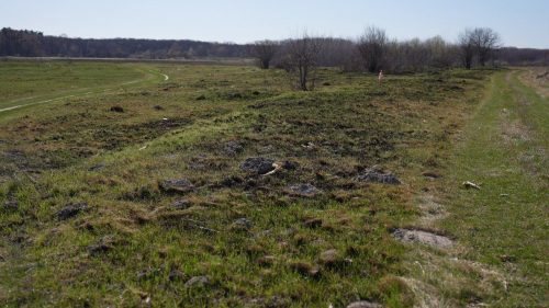 Smallpox and landslides: Protests against a quarry development in Vinnytsia Oblast
