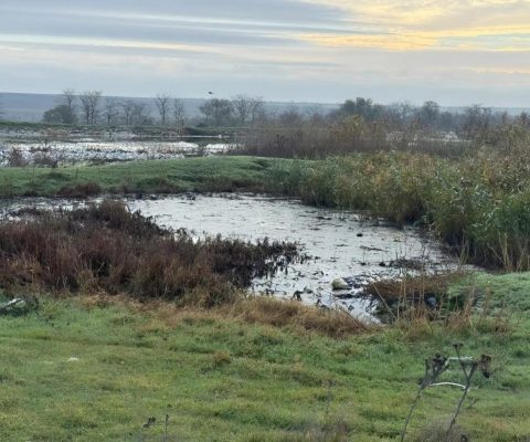 Канализационные стоки из Болграда годами отравляют загородные земли. Очистных сооружений до сих пор нет