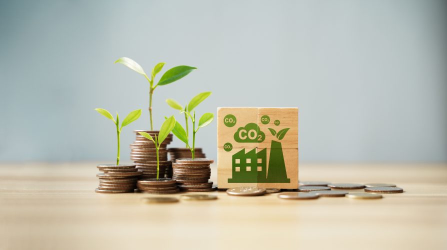 Ремонт каналізації та озеленення: як витрачає екоподаток Волинь