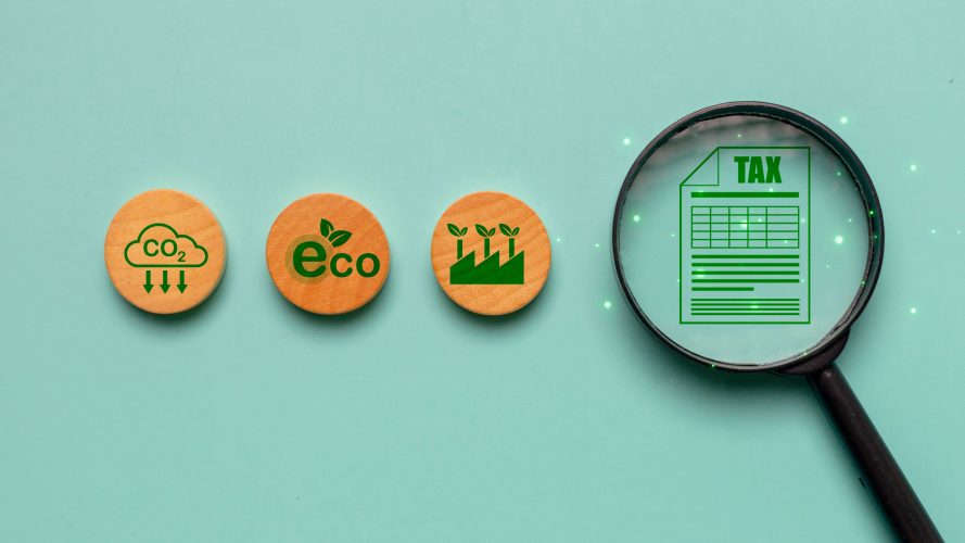 Мусоровозы, объездные дороги и озеленение: как Киевская область тратит эконалог