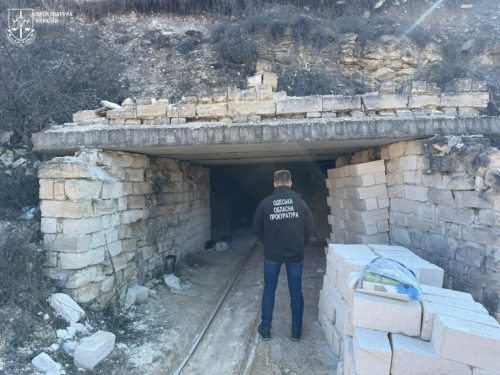 Понад 100 млн грн на нелегальній вирубці, забруднення та надра: дайджест екозлочинів