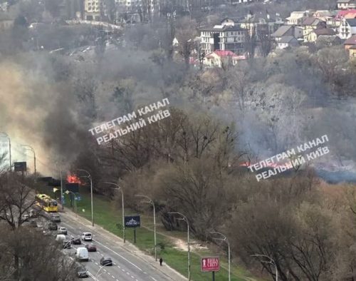 У середмісті Києва масштабно палає суха трава на проспекті Лобановського