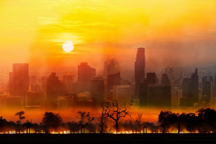 Climate change is making people poorer. How much will prices rise due to global warming?