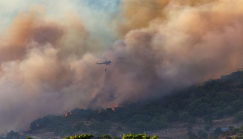 Лісові пожежі 2025 року в Європі були найбільш руйнівними за всю історію спостережень