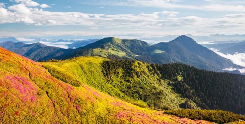 Невідкладний захист Карпат: президент перенаправив петицію до РНБО та уряду