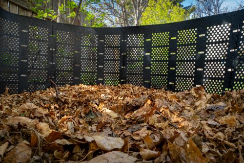 Composting at home and on a city-wide scale: how to turn organic waste into biofertilizer