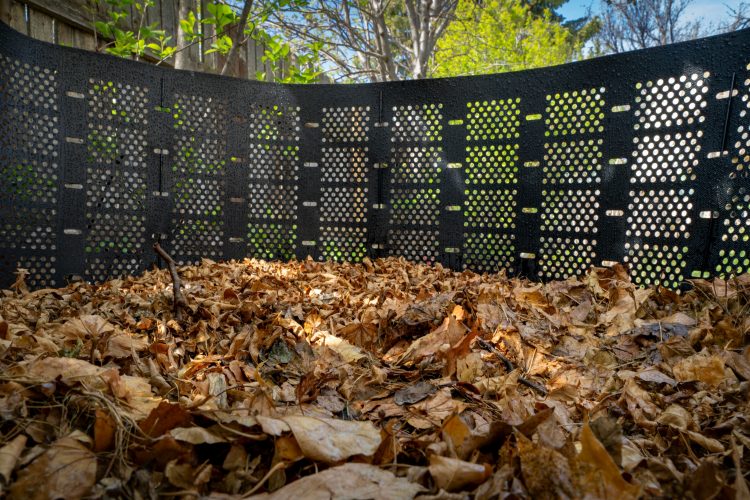 Компостування вдома та на рівні міста: як перетворити органіку на біодобриво