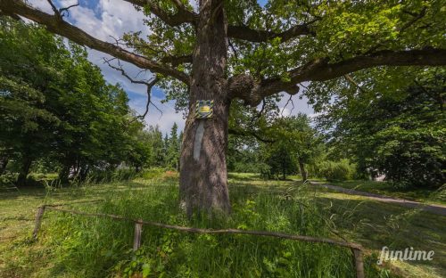 Захистити "Вікові дуби" та обсерваторію: у Києві борються із загрозою забудови