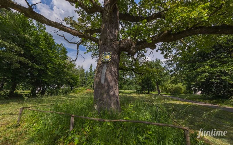 Защитить "Вековые дубы" и обсерваторию: в Киеве борются с угрозой застройки