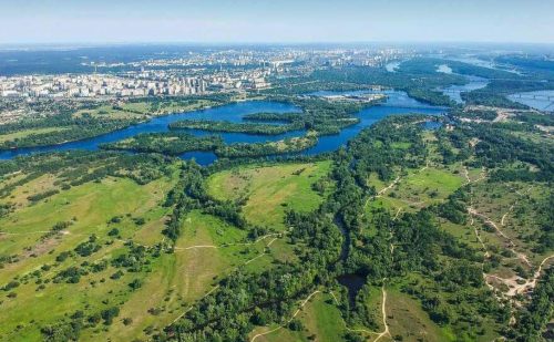 Digest of environmental crimes of the week: fight against developers, tree felling, and theft of mineral resources