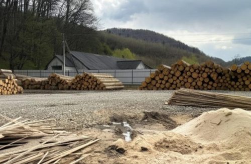 Тіньовий заробіток на відходах, браконьєрство і вирубка дерев: дайджест екозлочинів