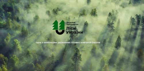 Зарплати у 1,5 млн та 5+ млн премії: скільки заробляють директори в ДП "Ліси України"