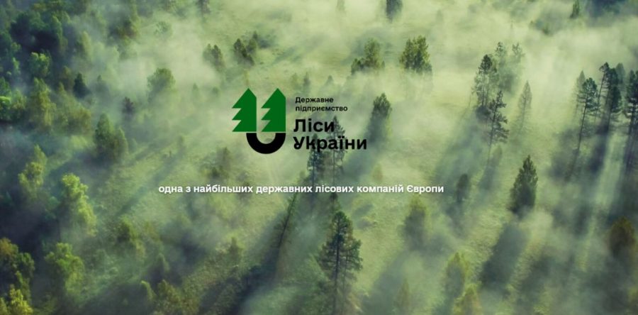 Зарплати у 1,5 млн та 5+ млн премії: скільки заробляють директори в ДП "Ліси України"