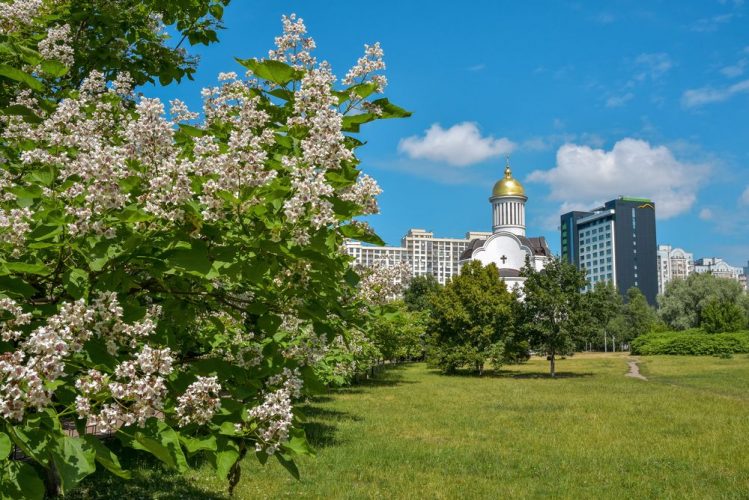 Парк відпочинку на Теремках у Києві під загрозою: що тут планують будувати