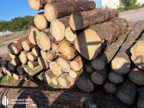 Дайджест екозлочинів: браконьєрство на мільйони, вирубка лісів та забруднення через недбалість