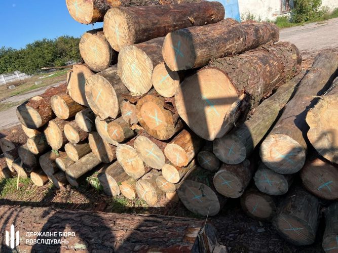 Дайджест екозлочинів: браконьєрство на мільйони, вирубка лісів і забруднення через недбалість
