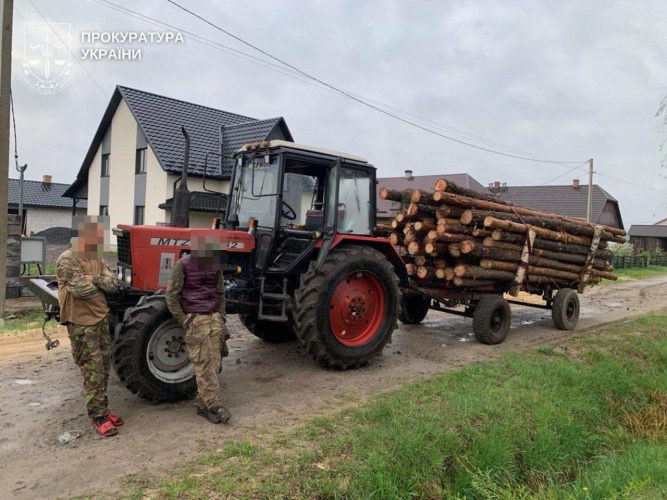 Officials are systematically destroying Ukraine’s forests. The losses amount to nearly 250 million hryvnias