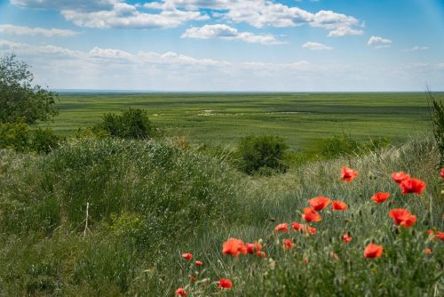 Около сотни организаций призывают признать Великий Луг наследием ЮНЕСКО