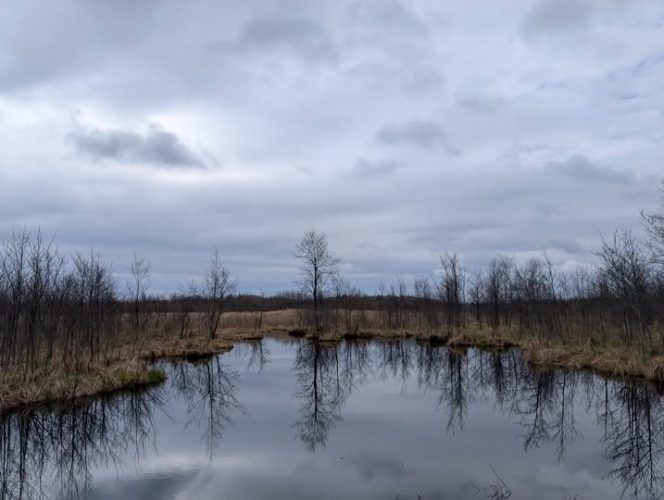 For the second time this year, the State Agency for Geology and Mineral Resources is planning to auction off one of Ukraine’s largest wetlands