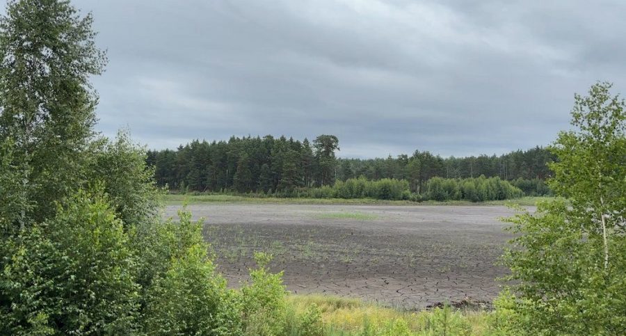 Восстановление невозможно: в Хмельницкой области высохло самое большое озеро