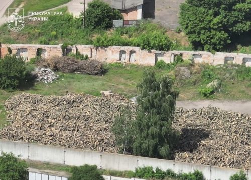 Дайджест экопреступлений недели: разграбление недр, загрязнение и вырубка лесов
