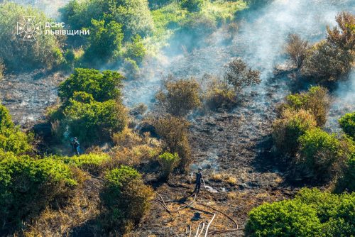 Вогонь під землею: на Львівщині тижнями гасять торф’яні пожежі