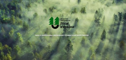 "Ліси України" витратять 2 млн грн на рекрутерів для пошуку нового гендиректора