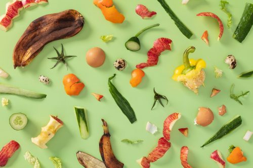 How and why to sort organic waste: practical tips