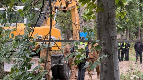 Сутички довкола рубок на Теремках: захисників парку силоміць витягувала міська варта