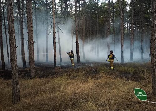 У лісах України за тиждень трапилося майже 80 пожеж: основні причини