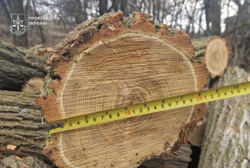 Digest of environmental crimes: millions of trees felled and waste mismanagement