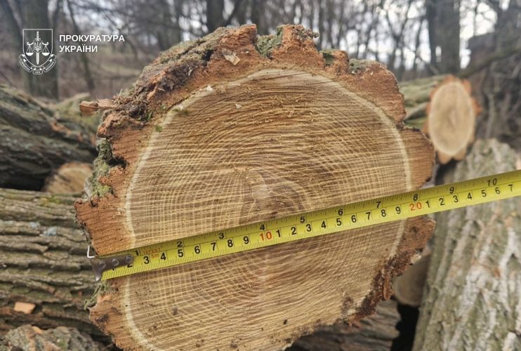 Digest of environmental crimes: millions of trees felled and waste mismanagement