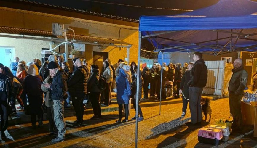 Чернігівці забрали на перетримку понад 100 тварин після удару по ветеринарному центру